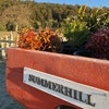 Summerhill Standard