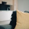 One Bedroom Garden Apartment - Type B Standard