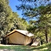 Oya Safari Tent