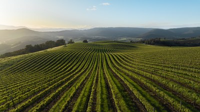 Eyrie & Den Standard Rate