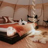 Glamping Tent - Best Available Rate
