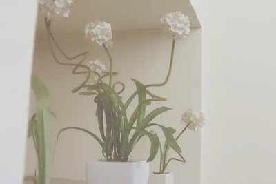 Single Standard Fan (SSTF) - Room only