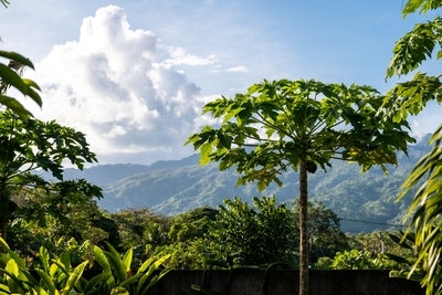 Studio Standard Rate