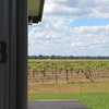 Cabin 8: Vineyard View Standard