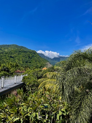 Chill on the Hill Standard