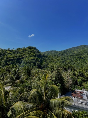 Chill on the Hill Standard