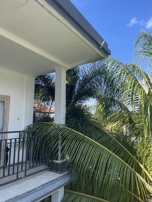 Chill on the Hill Standard