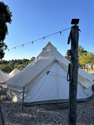 15. Thoroughbred Bell Tent Queen
