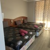 Pet Friendly Quad Standard