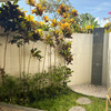 Jacaranda (2BR)